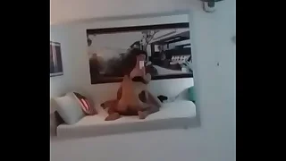 ôi tiếng rên nghe phát nứng